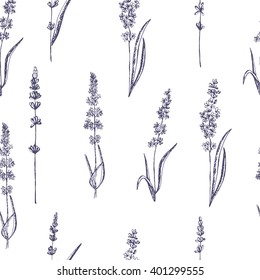 Seamless pattern of lavender flowers on a white background. Floral pattern with Lavender for packing. Stock vector