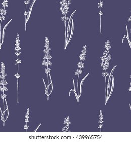 Seamless pattern of lavender flowers on a white background. Floral pattern with Lavender for packing. Stock vector