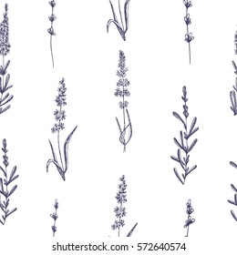 Seamless pattern of lavender flowers on a white background. Pattern with Lavender for packing. Stock vector.