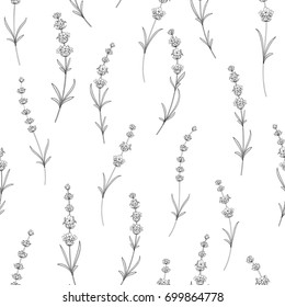 Seamless pattern of lavender flowers on a white background. Watercolor pattern with Lavender for package paper. Vector illustration.
