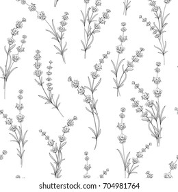 Seamless pattern of lavender flowers on a white background. Watercolor pattern with Lavender for package paper. Vector illustration.