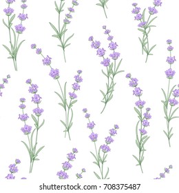 Seamless pattern of lavender flowers on a white background. Watercolor pattern with Lavender for fabric swatch. Seamless pattern for fabric. Vector illustration.