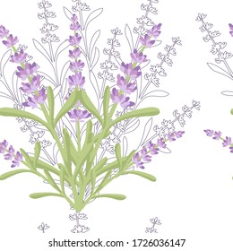 Seamless pattern with lavender flowers summer herbal natural bouquet flat vector illustration on white background