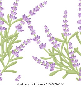 Seamless pattern with lavender flowers summer herbal natural bouquet flat vector illustration on white background