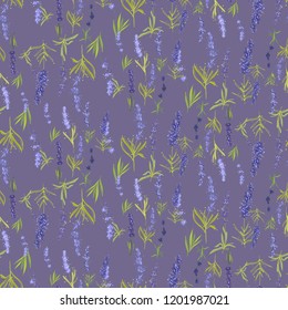 Seamless pattern with lavender greenery and herbs. Vector watercolor vintage sketch. Botanical colorful illustration on purple background.