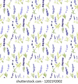 Seamless pattern with lavender greenery and herbs. Vector watercolor vintage sketch. Botanical colorful illustration on white background.