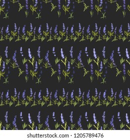 Seamless pattern with lavender greenery and herbs. Vector watercolor vintage sketch. Botanical colorful illustration on black background.