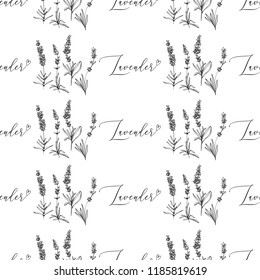 Seamless pattern with lavender herbs and lavender hand lettering. Black outline floral botanical illustration on white background. Vintage sketch backdrop or card design.