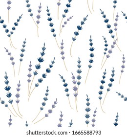 Seamless pattern with lavender on white background. Hand drawn floral texture. French, turkish lavender flowers. Vector illustration for vintage textile, fabric, wallpaper, cosmetics packing design