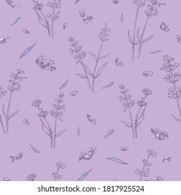 Seamless Pattern with Lavender plant outline and Filled with color drawn by pencil. Colored Parts of a Lavandula Placed on the Blue Background Chaotically.