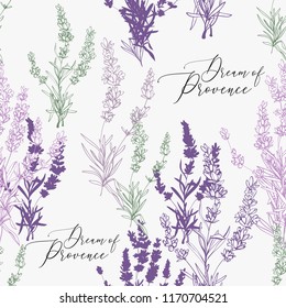 Seamless pattern with lavender sketch and dream of Provence lettering. Vintage botanical illustration on white background. Black lavender color vector ink.