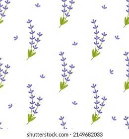 Seamless pattern of lavender twigs of lilac color. Beautiful flowers. Vector background for printing on paper, packaging, textiles, fabric, clothing. For designer decor.