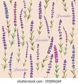 Seamless pattern with lavender. Vintage style.