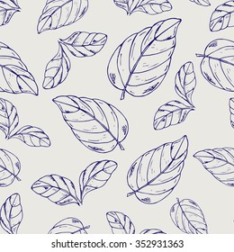 Seamless pattern leaf. Pen ball oregano lief vector background. Sketch medicinal plant marjoram seamless texture. Hand drawn illustration for print, decoration, design, web, wrapping