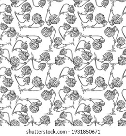 Seamless pattern with leaf,branch of strawberries. Floral hand drawn illustration. Sketch. Print for fabric, packaging, label, poster, print. Line