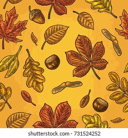 Seamless pattern leafs, acorn, chestnut and seed. Vector vintage color engraved illustration. Isolated on white background