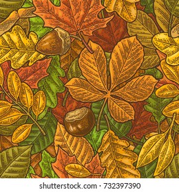 Seamless pattern leafs, acorn, chestnut and seed. Vector vintage color engraved illustration. Isolated on white background