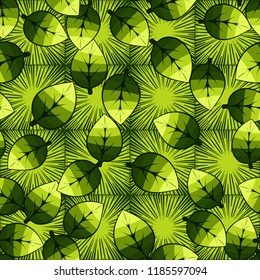A seamless pattern of leaves arranged randomly on a background of square suns.