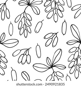 Seamless pattern with leaves and barberry berries. Hand drawn vector illustration in outline style.