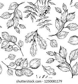 Seamless pattern with leaves and berries. Hand drawn vector illustration