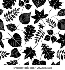Seamless pattern with leaves. Black silhouette of leaves with streaks on a white background. Vector illustration.