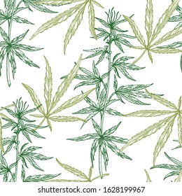 Seamless pattern of  leaves and branch of Hemp plant. Organic product. Ink sketch of cannabis. Hand drawn graphic design. Stock vector illustration.