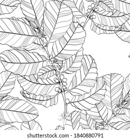 Seamless pattern with leaves and branches of coffee plant, Hand-drawn line black white illustration.