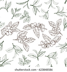 seamless pattern with leaves and branches of tea and coffee, vector hand-drawn