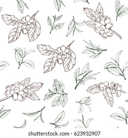 seamless pattern with leaves and branches of tea and coffee, vector hand-drawn