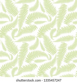 Seamless pattern with leaves of fern on a white background.
