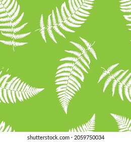 
seamless pattern of leaves of a fern on a green background. Texture.