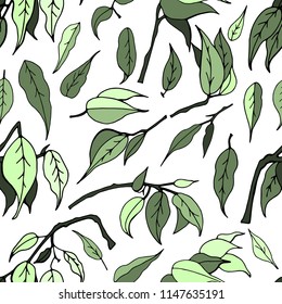 Seamless pattern with leaves of ficus benjamin on white background
