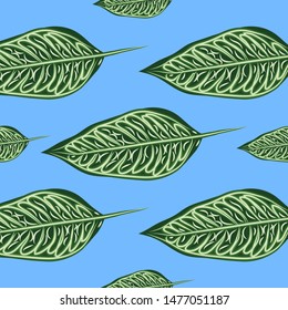 Seamless pattern with leaves of ficus benjamin on green background
