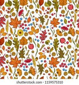 Seamless pattern of leaves, flowers, berries and nuts. Vector illustration of autumn floral nature elements isolated on white background.