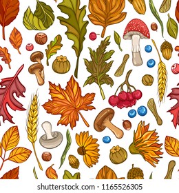 Seamless pattern of leaves, flowers, berries nuts and mushrooms. Vector illustration of autumn flowers and harvest elements isolated on white background.
