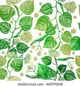Seamless pattern with leaves and flowers. Linden tree botanical illustration. Vector floral texture on white background.