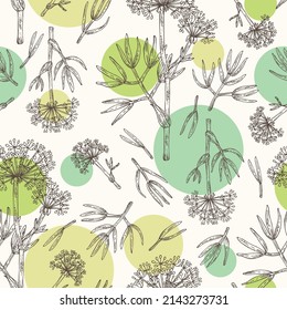 Seamless pattern with сrithmum: сrithmum leaves, flowers and сrithmum plant. Sea ​​fennel. Herbs and spices. Cosmetic, perfumery and medical plant. Vector hand drawn illustration.