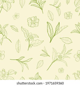 Seamless pattern with leaves and flowers of a tea plant.Set of branches, leaves and flowers of a tea plant.  Silhouettes of branches and leaves of a tea bush.Skcetch of tea leaves.