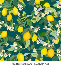 Seamless pattern with leaves, inflorescences and fruits lemon. Vector illustration colors with plants. EPS 10