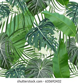 Patrón de hojas monstera y banana sin fisuras. Hojas tropicales de palmera. Fondo vectorial.