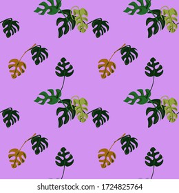 Seamless pattern leaves monstera indoor flower on a pink background