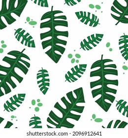 Patrón sin foco de hojas de la planta de la Monstera Obliqua.