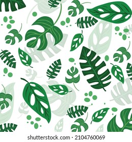 Seamless pattern of leaves of the Monstera Obliqua plant.