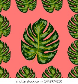 Seamless pattern of leaves monstera. Tropical leaves of palm tree. Vector background.