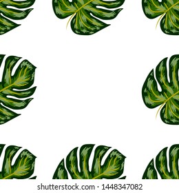 Seamless pattern of leaves monstera. Tropical leaves of palm tree. Vector background.