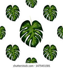 Seamless pattern of leaves monstera. Tropical leaves of palm tree. Vector background.