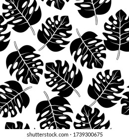 Patrón sin foco de hojas monstera. Hojas tropicales de palmera. Fondo vectorial.