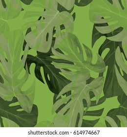 Seamless pattern of leaves monstera. Tropical leaves . Vector background. Trendy color.