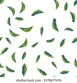 Seamless pattern from leaves of natural branches, green leaves, herbs, tropical plants.