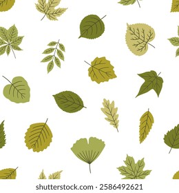 Seamless pattern with leaves on white background - spring or summer leaf of maple, linden, ginkgo, chestnut, and other. Template for textile, package, wrapping paper. Green colors. Vector illustration